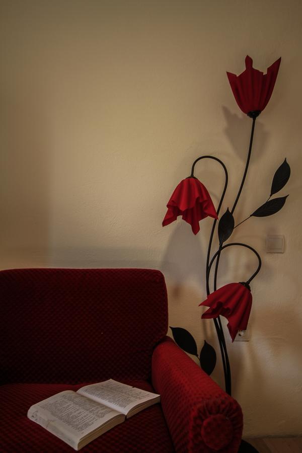 Apartman Vesna Virpazar Exterior photo
